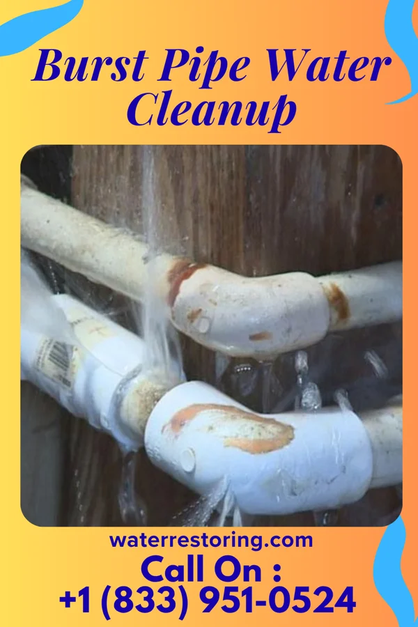 Burst Pipe Water Cleanup in Parker, TX