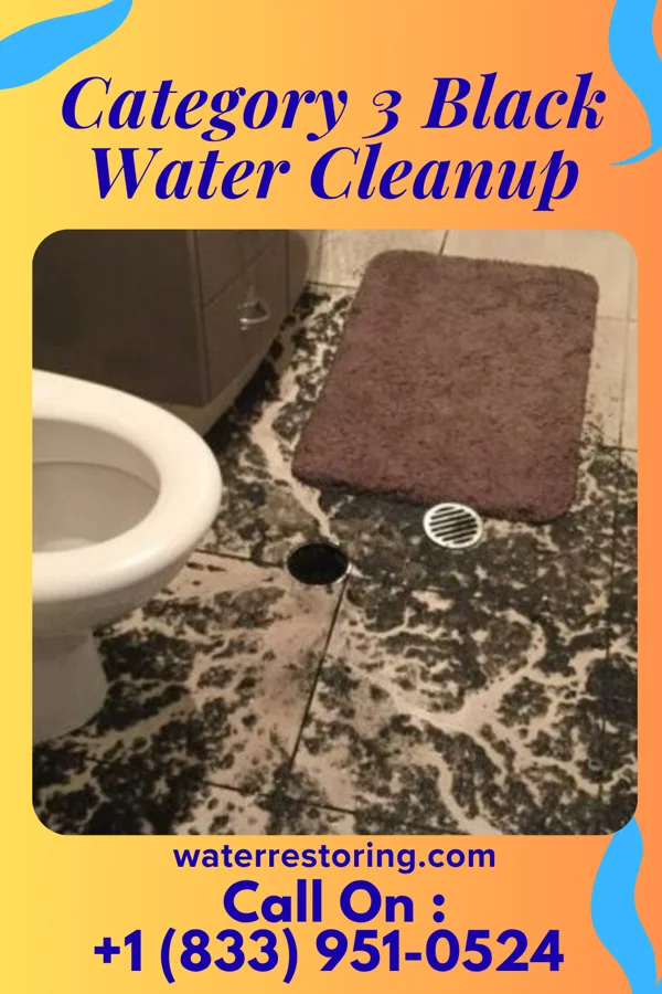 Category 3 Black Water Cleanup in Parker, TX