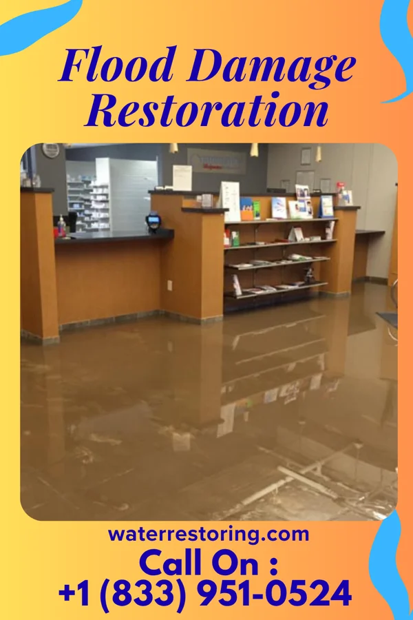 Flood Damage Restoration in Parker, TX
