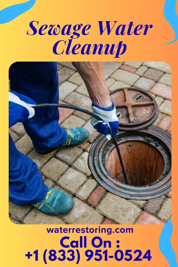 Sewage Water Cleanup in Parker, TX