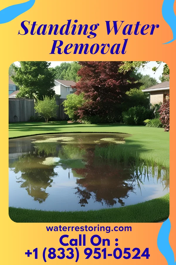 Standing Water Removal in Parker, TX